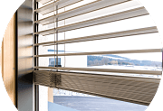 Smart Blinds